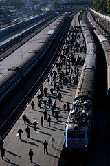 фото "популяции"