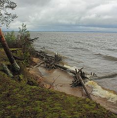 photo "***"