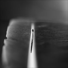 фото "Only the lonely"