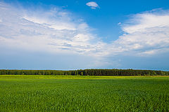 photo "***"