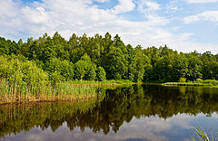 photo "***"