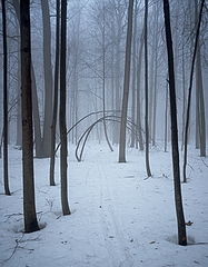 фото "Растворение мира"