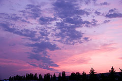 photo "***"