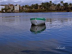 фото "A LONE"