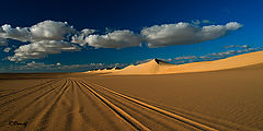 фото "Dunes 03"
