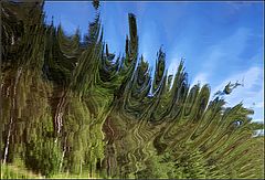 photo "wave 3"