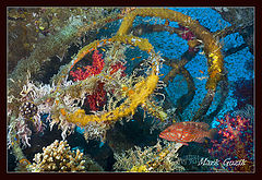 photo "Space picture"