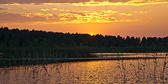 photo "***"