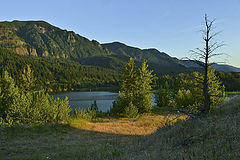 photo "*"