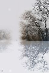 фото "..потоп"