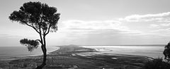 фото "Séte, south of France, landscape in bw"