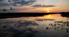 photo "***"