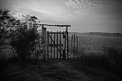 photo "***"