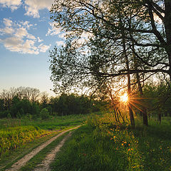 фото "Evening light"