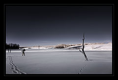 photo "***"