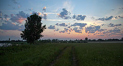 photo "***"