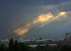 фото "Гневный взгляд"