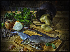 photo "With the herring"