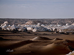 фото "White Desert"