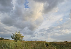фото "Гроза ушла"