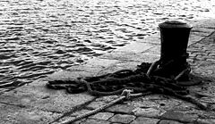 фото "il the port"