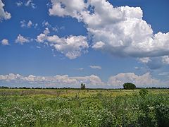 фото "Розовые облака"