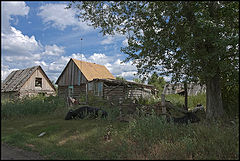 фото "Июль..."