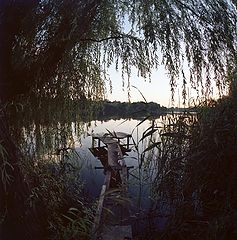 photo "***"