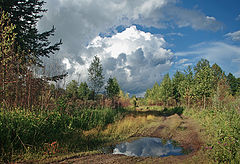 фото "Осколок неба"