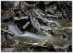 фото "time is fleeting"