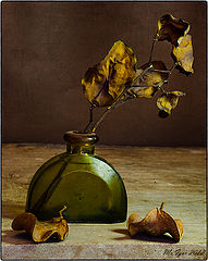 photo "No-5"