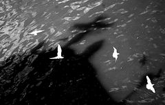 photo "***"