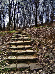 photo "Steps"