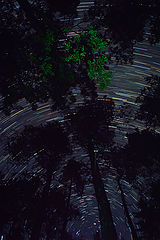 photo "***"