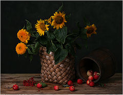 photo "***"