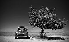 photo "***"