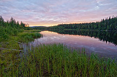 photo "***"