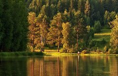 photo "***"