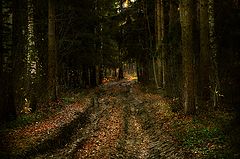photo "***"