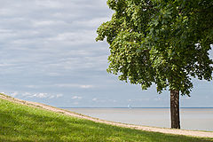 photo "***"
