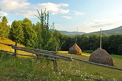 фото "Закарпатье. Июль."