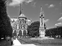 фото "Notre-Dame de Paris"