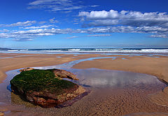 фото "One day at the beach"