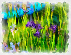 photo "***"
