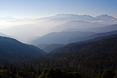 photo "***"