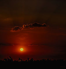 photo "Sunset"