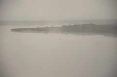 photo "***"