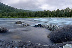 фото "Stream - от слова "стремнина". :)"