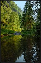 фото "Родники"