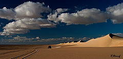 photo "Dunes 07"